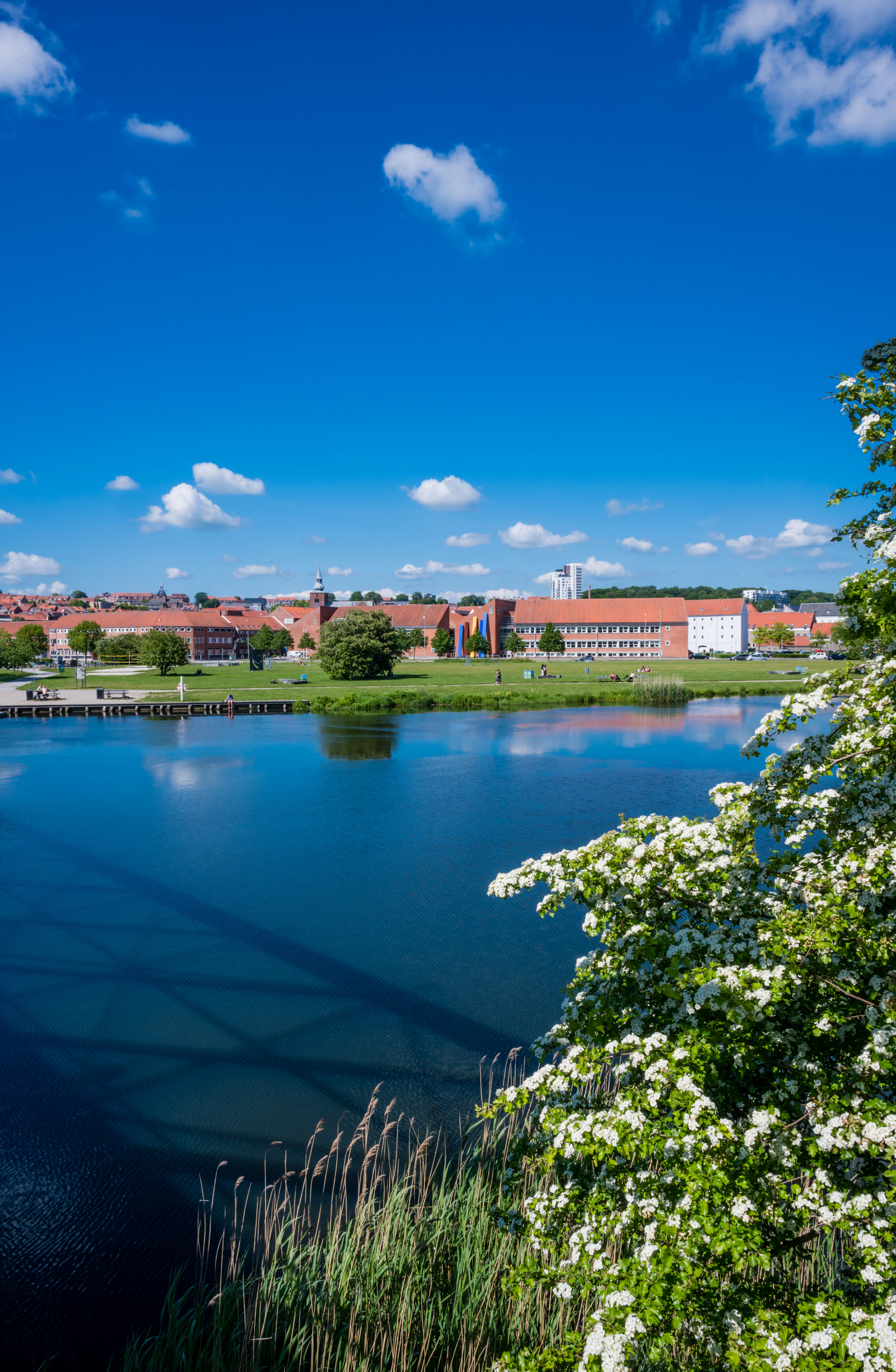 Gudenåen og Laksetorvet